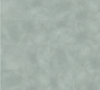 Light Grey Concrete 2567